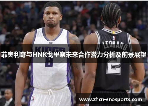 菲奥利奇与HNK戈里察未来合作潜力分析及前景展望